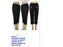 AS01507R ���.JPG