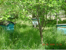 ����� ����� ����� �� ������