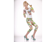 ������ 542055B   1610���