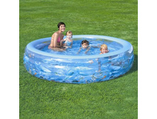 ������� �������� ������ 229��56.jpg