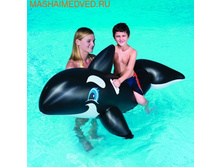 ���� �������� ��� 203��102��.jpg