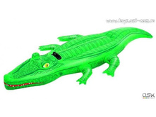 ���� �������� �������� 203��117��.jpg