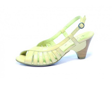 2 83 82���� 1593��� 202�-���.jpg