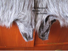 ����� �� ���������� � ��������� ���.���-2