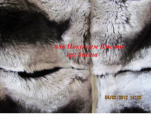 ������� �� ���� ������� ��� �������� �� ����� �������  ���.��-2