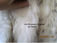 ����� �� ���� ���� � ���������� ���.���-6 7 8 