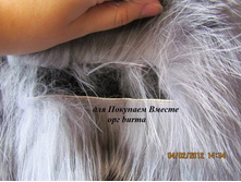 ����� �� ���� ���������� -���������� ���� ���.��-3