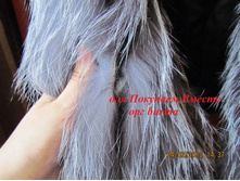 ����� �� ���������� �������� ������ ���.���-6