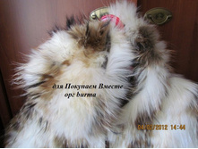 ����� �� ���� ���� � ��������� ���.���-3