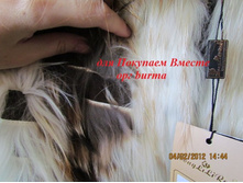 ����� �� ���� ���� � ��������� ���.���-3