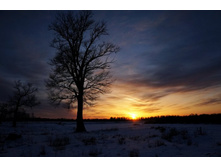 ��������� ���� ����...