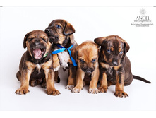 angelnnov_studia (91).jpg