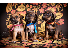 angelnnov_studia (92).jpg