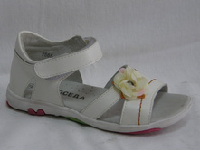 2865-4�1  	  300.00 ���. 