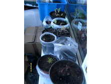 ������ ������ � ������..JPG