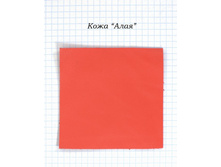 ���� ����.NEF.jpg