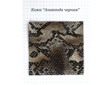 ���� ��������.NEF.jpg