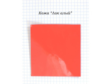 ���� ��� ����.NEF.jpg