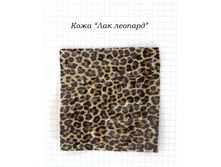 ���� ��� �������.NEF.jpg