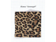 ���� �������.NEF.jpg