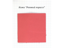 ���� ������� ������.NEF.jpg