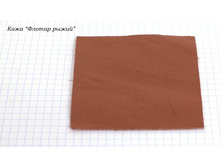 ���� ������ �����..NEF.jpg