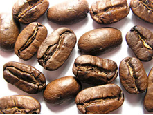 ���������� ���������