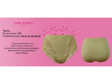 480 �. �������