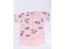 ������ �������