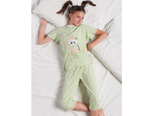 �������� �������