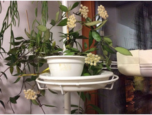 ������ �� �������. 