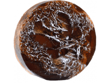 ������ ������.png