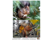 ����� �4.jpg