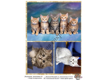 ���� �4.jpg