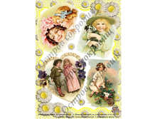 ����� ���� �4.jpg