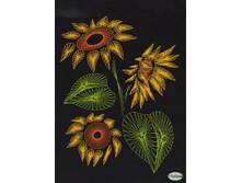 IN-101911.jpg