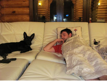 �����������