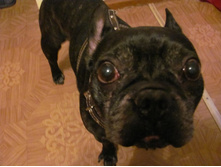 �����-�������