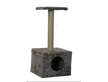 ����� �������