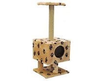 ����� �������