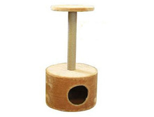 ����� �������