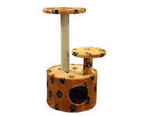 ����� �������