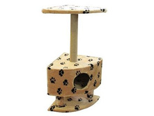 ����� �������