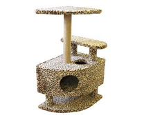 ����� �������