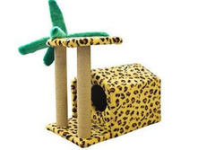 ����� �������