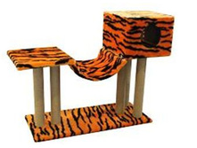 ����� �������