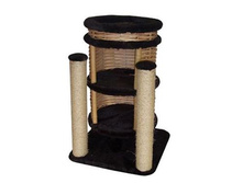 ����� �������