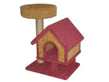 ����� ������������