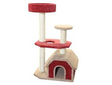 ����� ������������