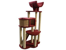 ����� ������������